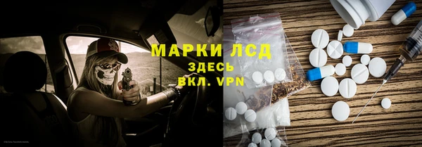 хмурый Аркадак