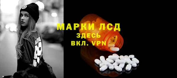 хмурый Аркадак