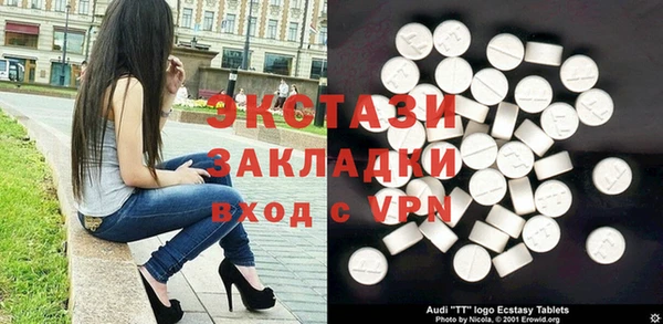 хмурый Аркадак