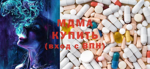 хмурый Аркадак