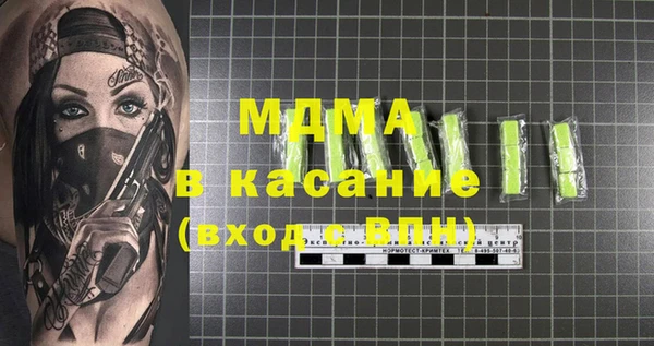 хмурый Аркадак