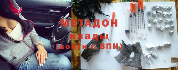 хмурый Аркадак