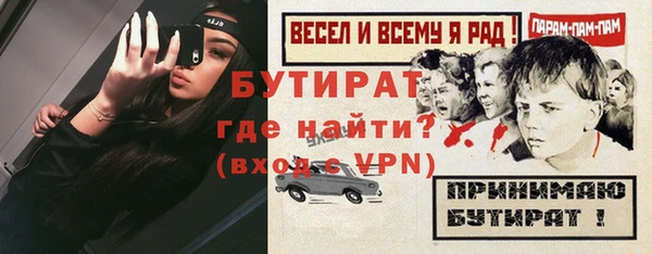 хмурый Аркадак