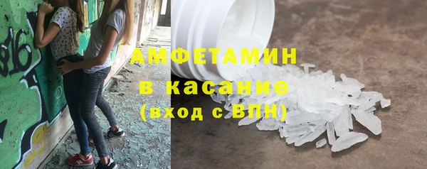 хмурый Аркадак