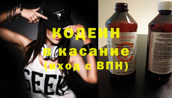 хмурый Алексин